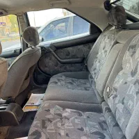 زانتیا بدون رنگ