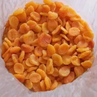 قیصی