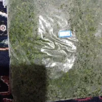 فروش انواع سبزی منجمد