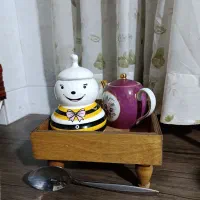 رایزر
