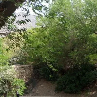 زمین-کشاورزی-شریفلو-نصیرکندی