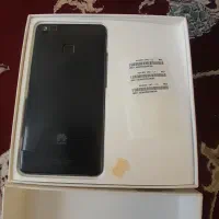 گوشی