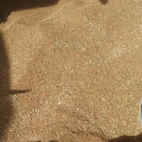 گندم و جو و کاه