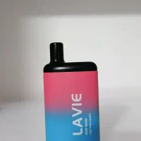 پاد LAVIE Box 6000|زیورآلات و اکسسوری|آمل, |دیوار