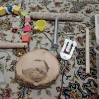 لوازم پرنده