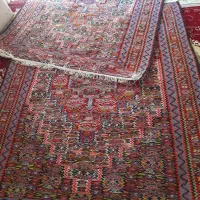 سجاده|گلیم، جاجیم، گبه|سنندج, |دیوار