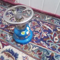 پیک نیک سالم جنس عالی