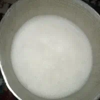 حیوانات