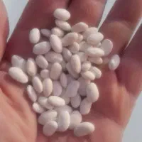 بذر لوبیا سفید(بوجاری شده)کیفیت خوب