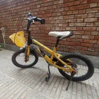 دوچرخه دخترانه و پسرانه