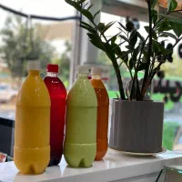 استخدام نیرو آبمیوه بستنی