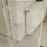 قفس جفتگاه