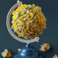 استخدام طراح گرافیک خانم پاره وقت