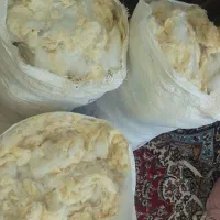 پشم لایکو و پنبه