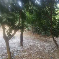 فروش-منزل-ویلایی