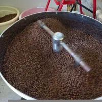 فروش کارگاه رستری قهوه