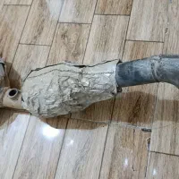 کاتالیز