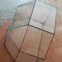 تراریوم شیشه ای