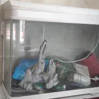 فروش آکواریوم. کارخانه ای با لامپ ال ای دی.