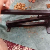 گردو و بادام شکن بیصدا