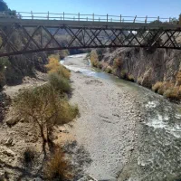 مسافر گناوه به شیراز