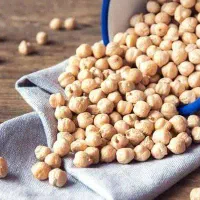 فال نخود، حافظ و قرآن و تاروت