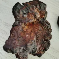 شهاب سنگ و تعدادی سکه سلطان محمودغزنوی