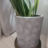 گلدان با قیمت مناسب