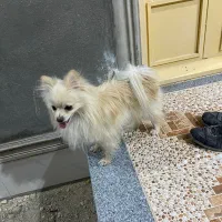 موقیعت بندر عباس