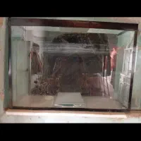 اکوارویم