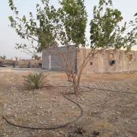 فروش جاخور و زمین