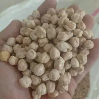 نخود سه خان وچهار خان کرمانشاه