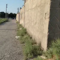 دامداری به متراژ  ۲۸۰۰ متر