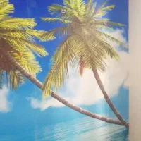 نصاب کاغذدیواری.کفپوش چمن مصنوعی موکت.تعمیرات