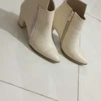 کفش مجلسی