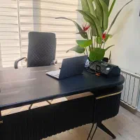 نیرو مقطعی خانم و آق
