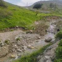 فروش زمین کشاورزی