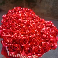 رز قرمز