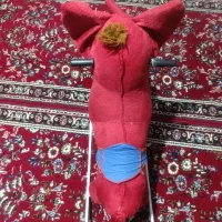 راکرفیل مناسب بچه ها