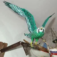پرندگان چوبی نفس می‌کشند...