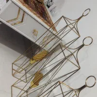 جاشمعی کنار سالنی