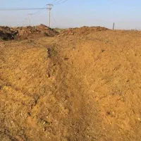 کود حیوانی