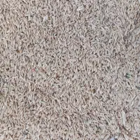 جو وارداتی و جو محلی