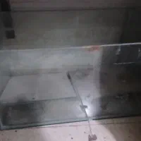 آکواریوم