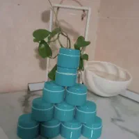 کرم وی ای پی