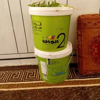 رنگ‌ساختمان