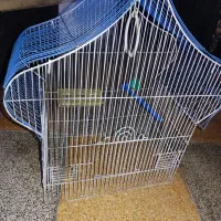 قیمت  هر سه قفس با هم