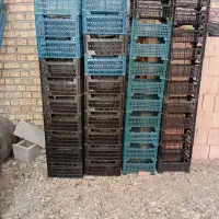سبدجاگیلاس