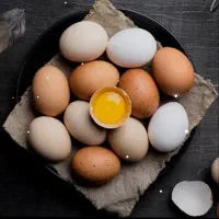 تخممرغ محلی