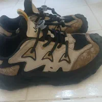 کفش سایز 37